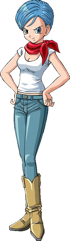 Character: bulma briefs .